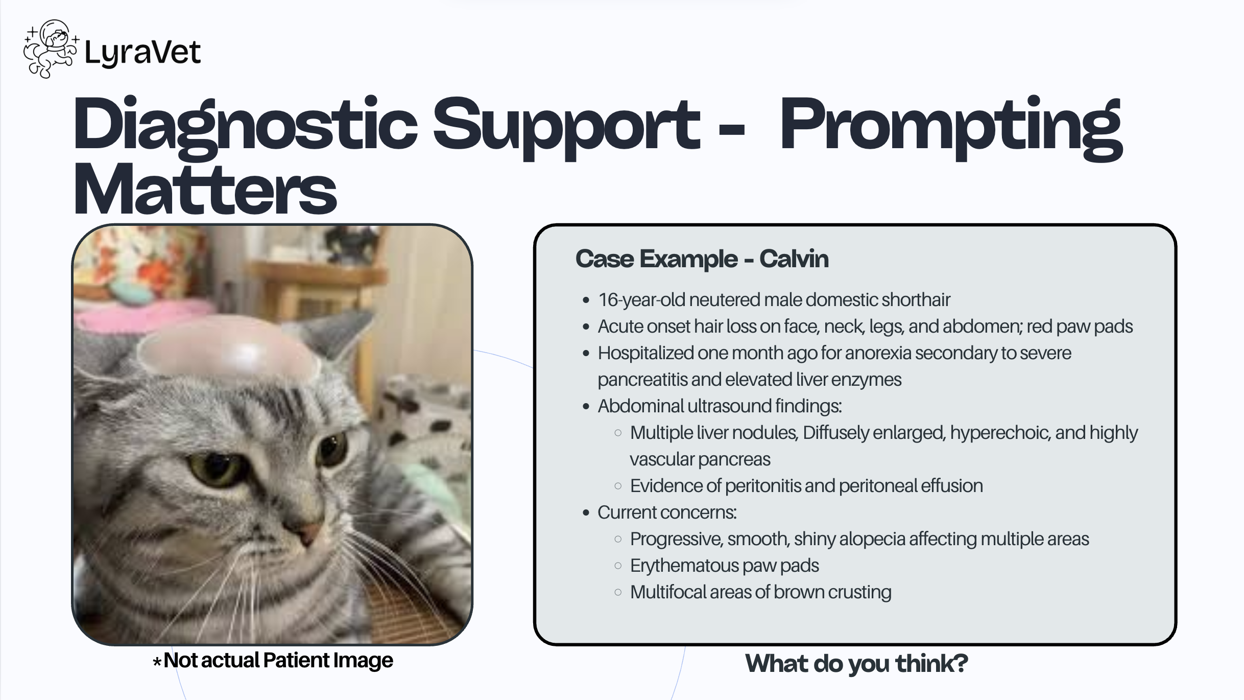 Diagnostic Support - Case Example